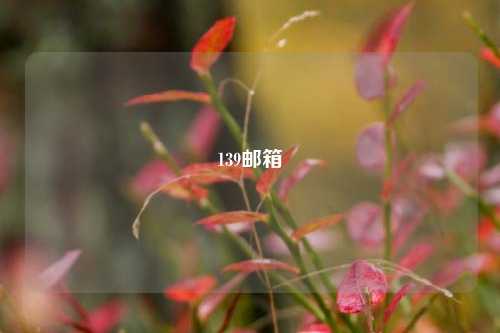139邮箱