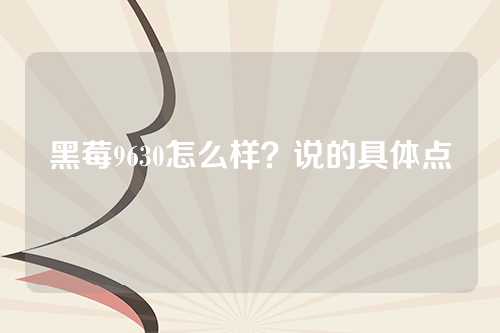 黑莓9630怎么样？说的具体点