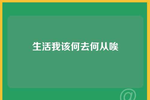 生活我该何去何从唉