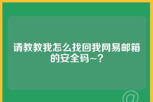 请教教我怎么找回我网易邮箱的安全码~？