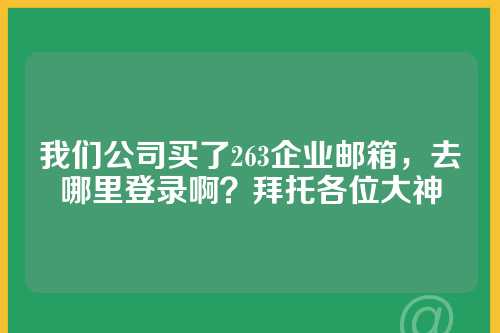 我们公司买了263企业邮箱，去哪里登录啊？拜托各位大神