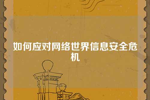 如何应对网络世界信息安全危机